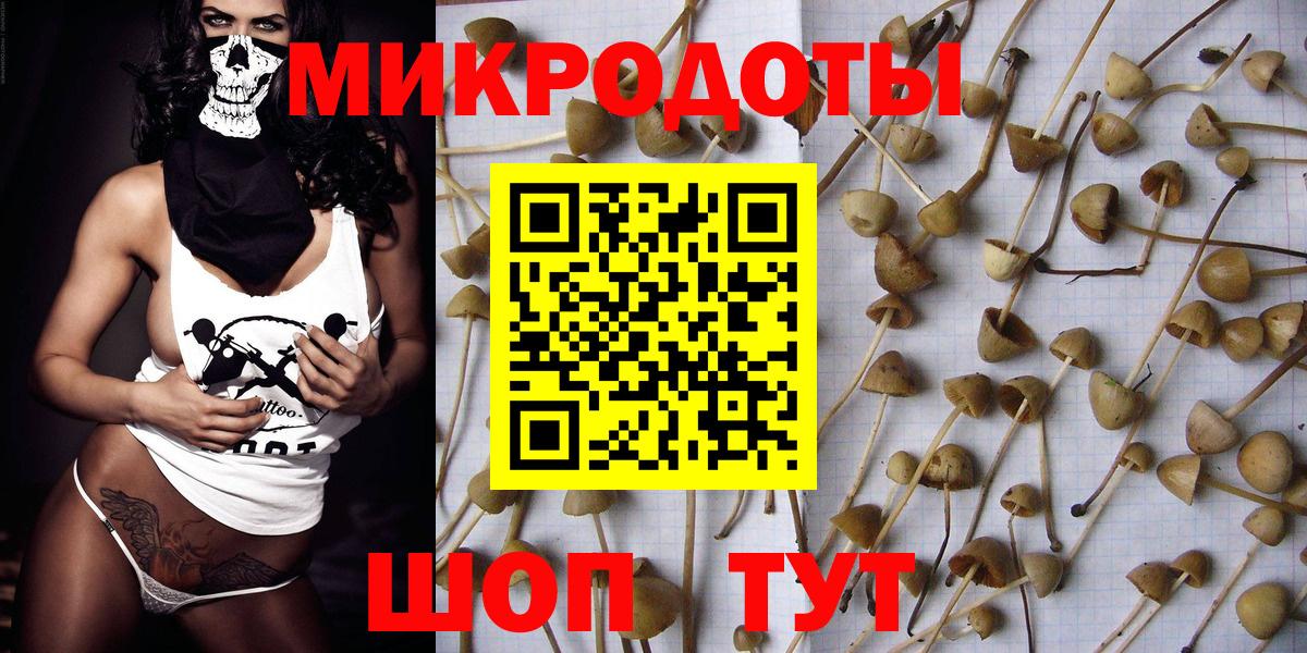 Галлюциногенные грибы мухоморы Чита