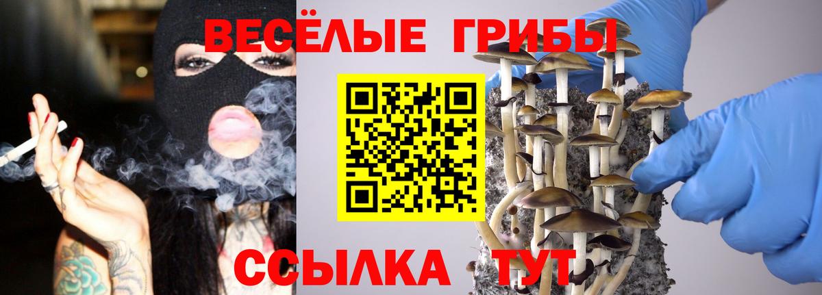 Чита  Псилоцибиновые грибы мухоморы  Вход с VPN 